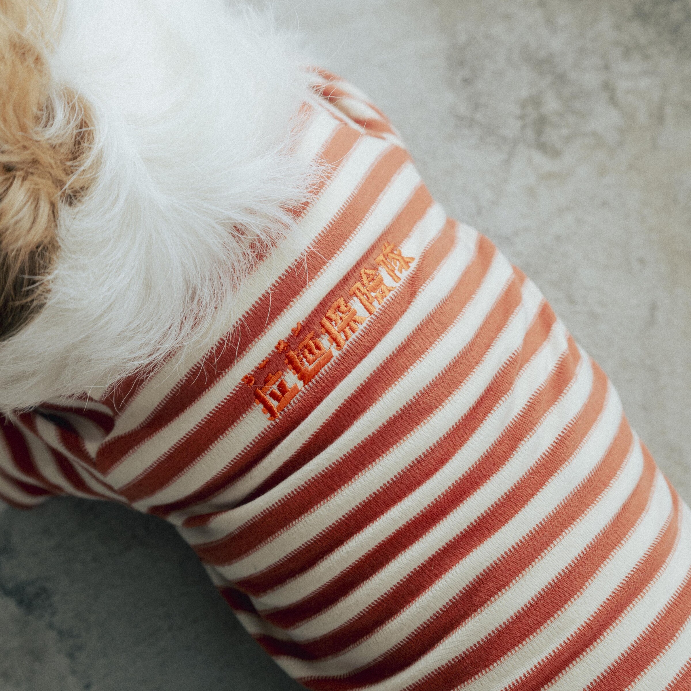 Ramen Explorer Pets Series ( Sony )-025