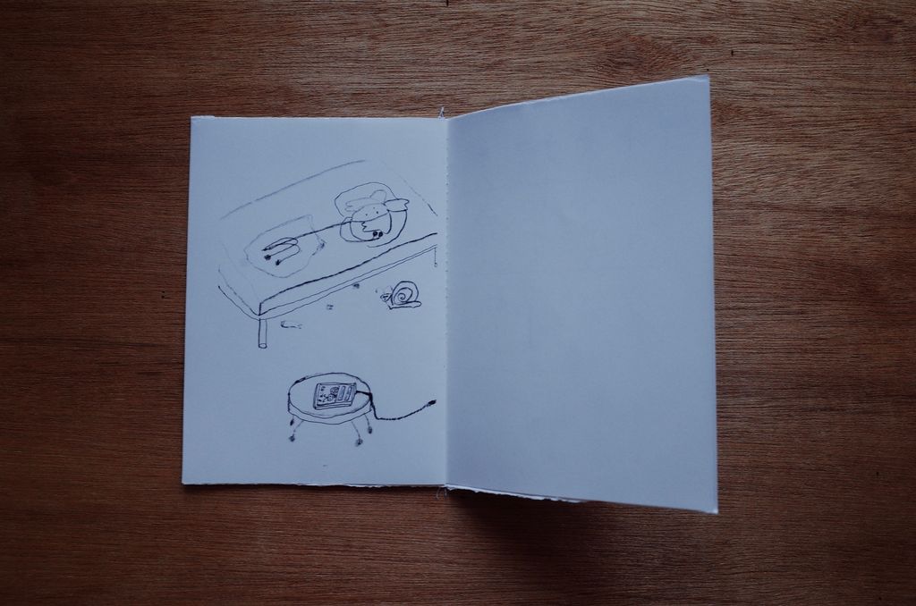 image_626AC2AB-E9DD-4360-8600-C3CAED948709_1773485461