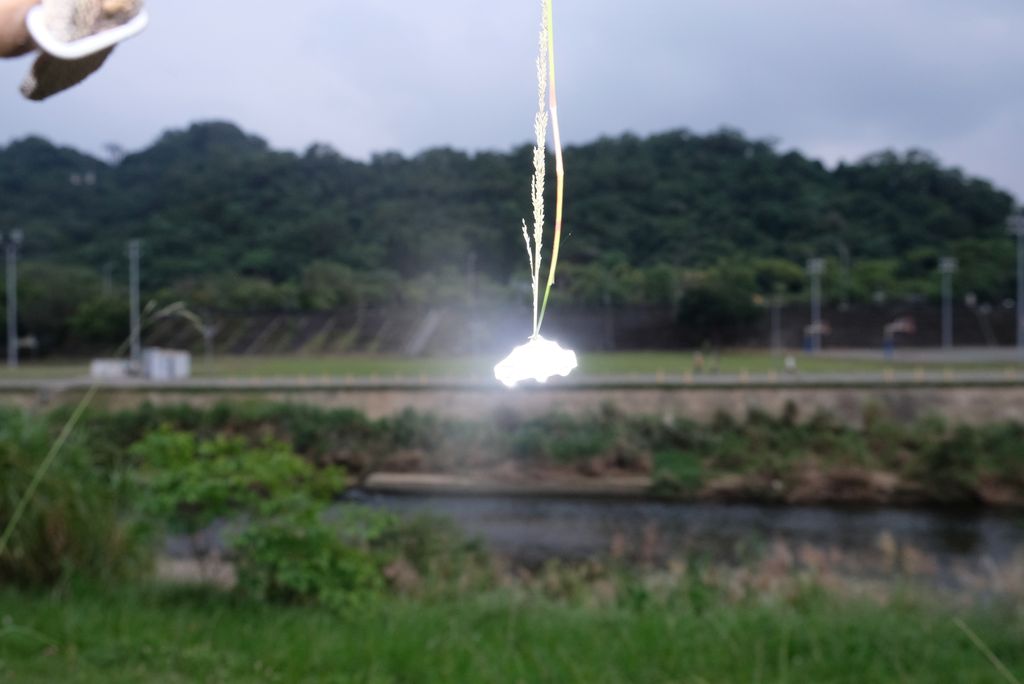 DSCF2924