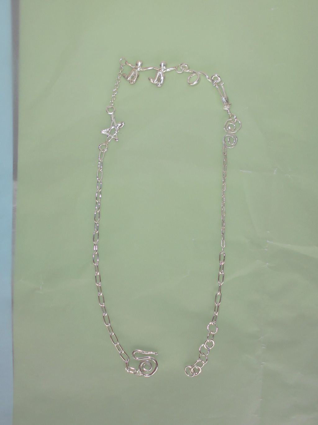 DSCN1308a