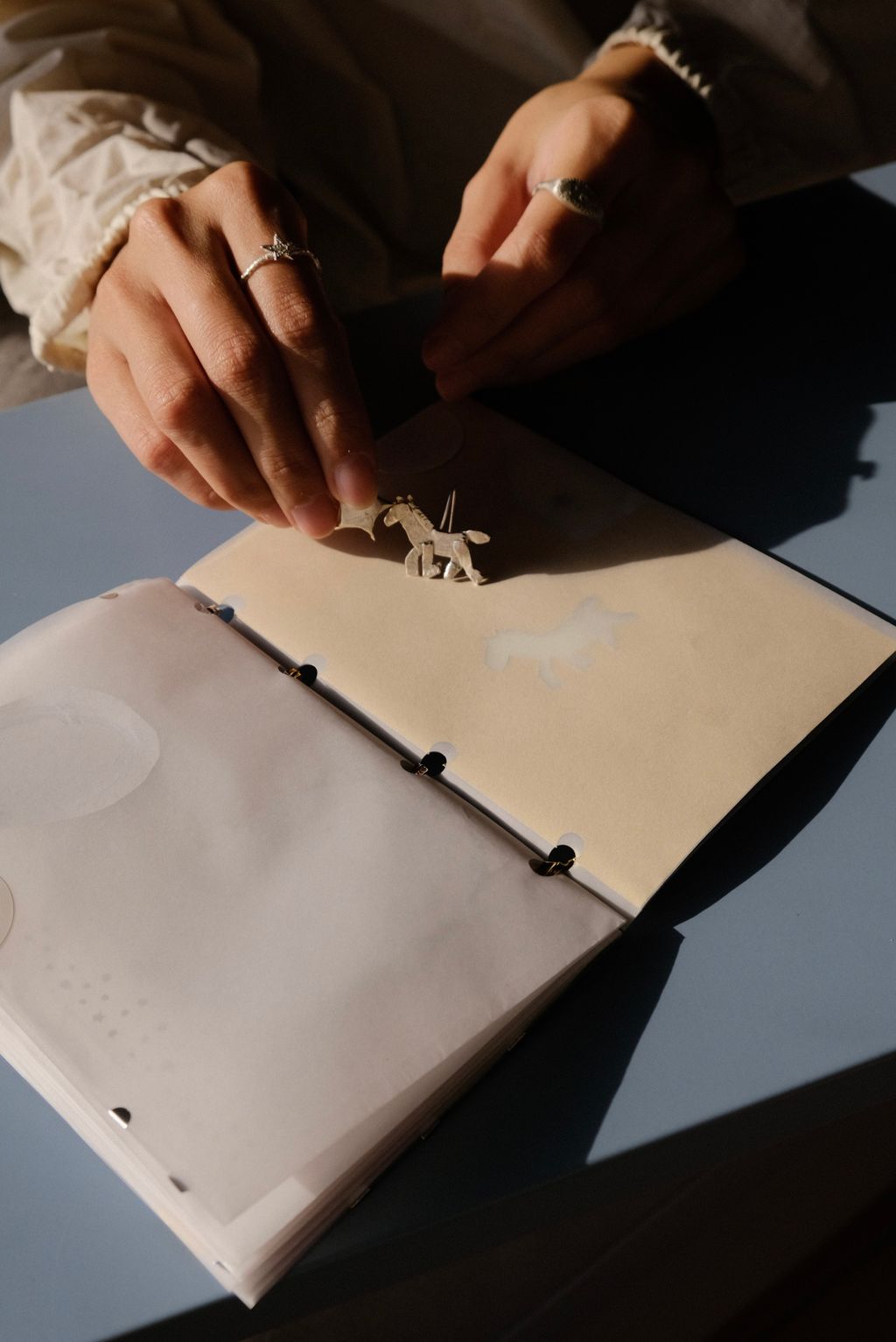 image_01968BCC-6C8F-42A9-BF0A-B74C0797BD61_1765269890