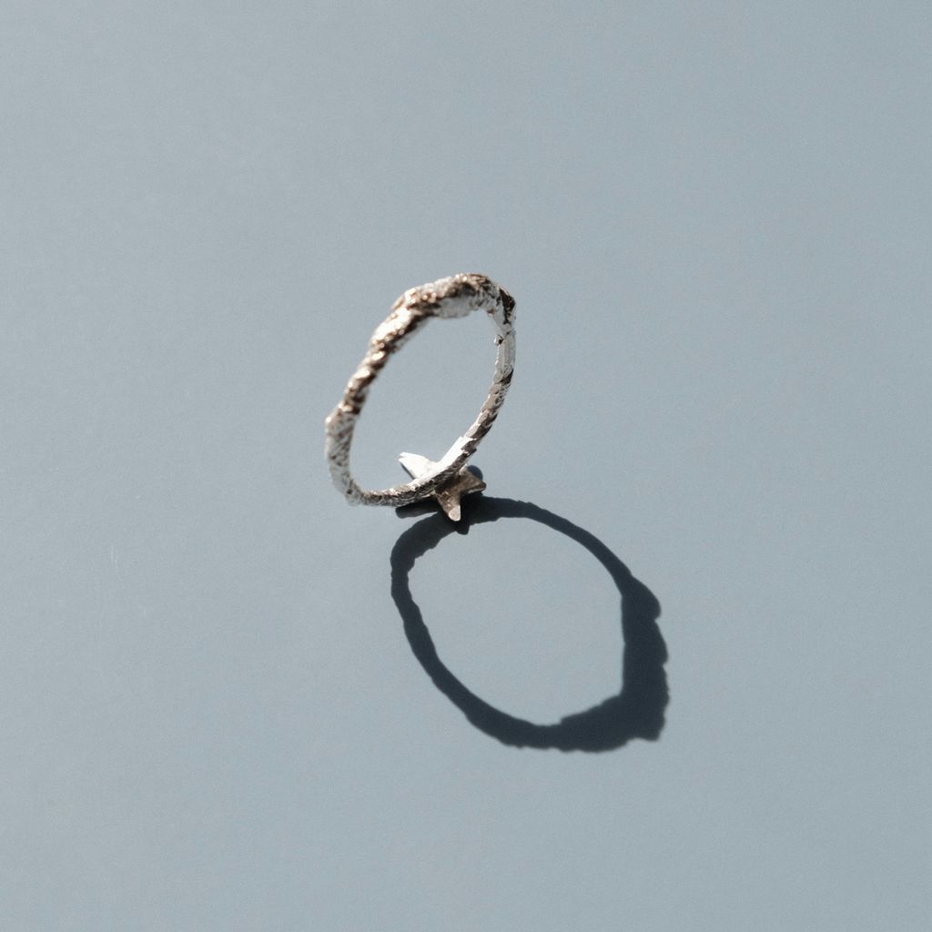 image_278BD3DC-12AA-4FEA-96BC-4AD97862DECC_1765271825