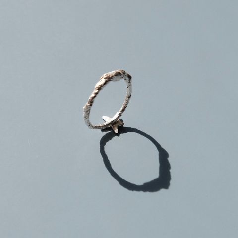 image_278BD3DC-12AA-4FEA-96BC-4AD97862DECC_1765271825