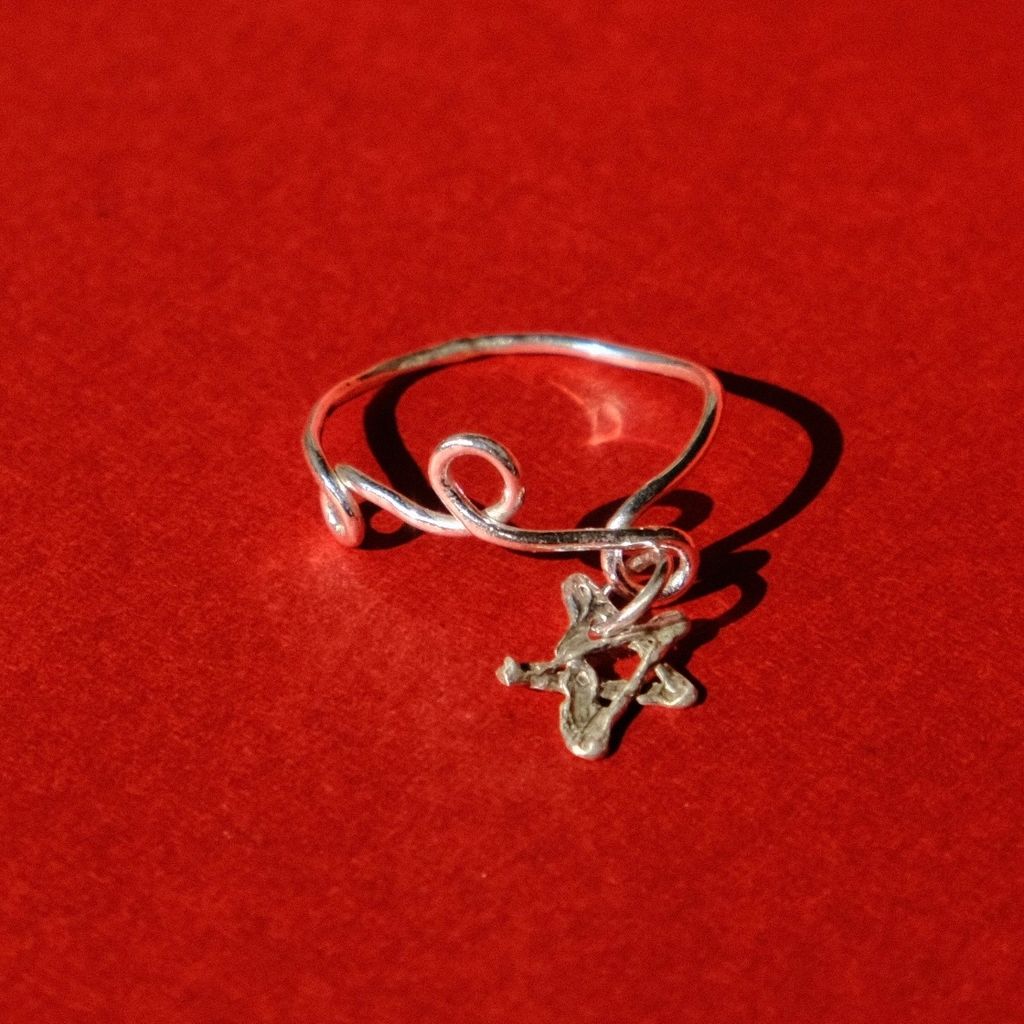 image_0F95DA89-9250-48B3-B533-CCEC99F1D9E9_1767167342