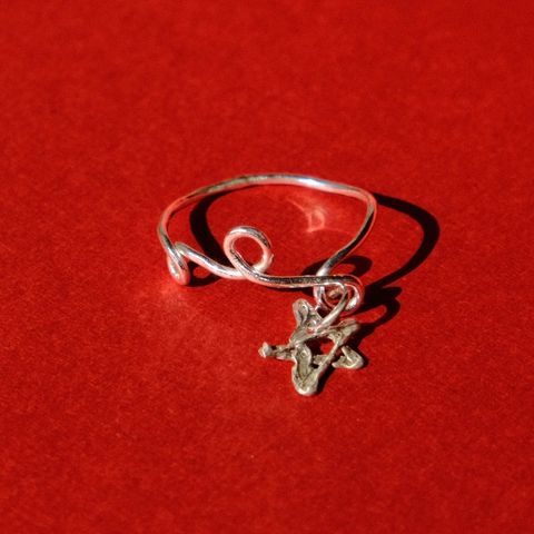 image_0F95DA89-9250-48B3-B533-CCEC99F1D9E9_1767167342