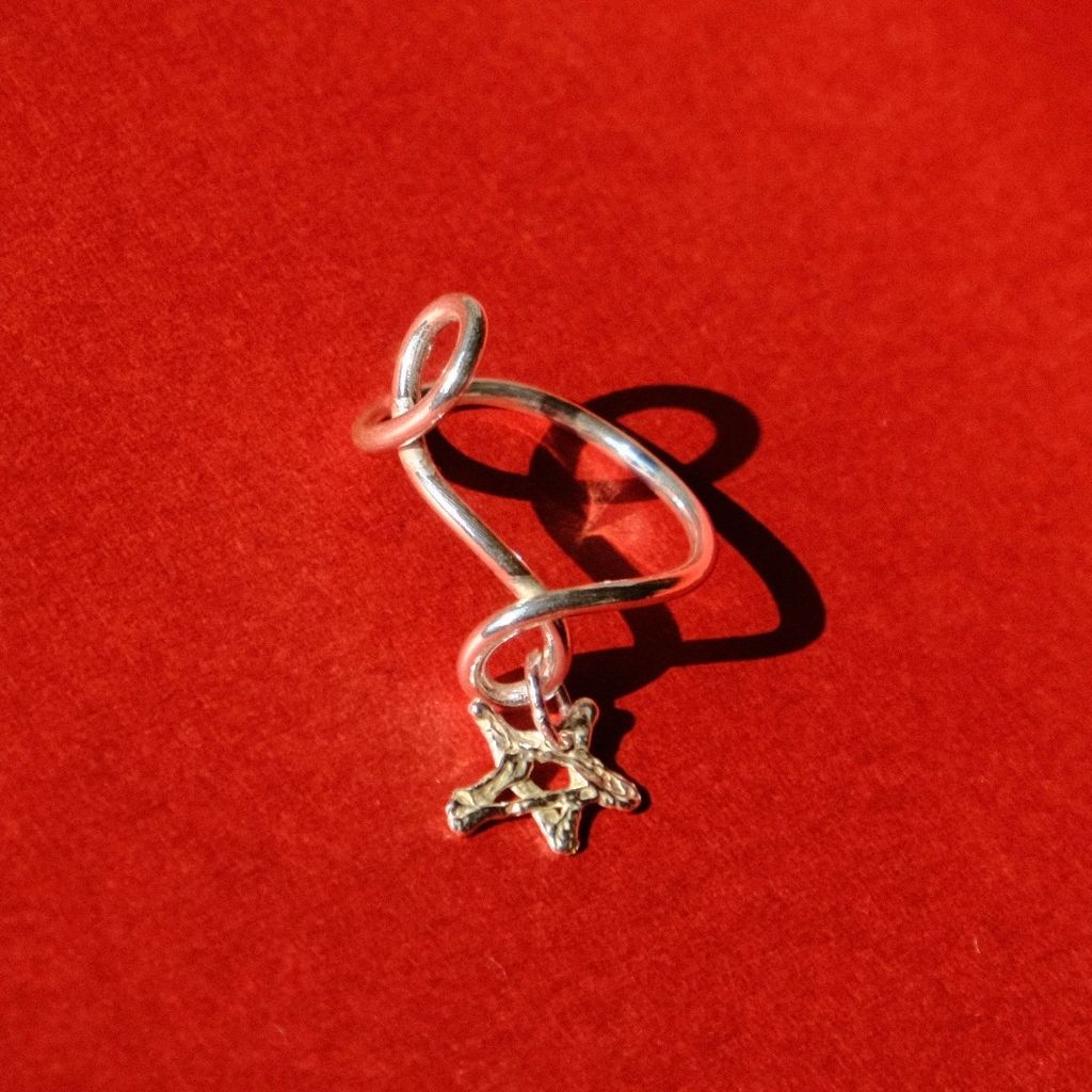 image_EEA25B93-24E1-4BFF-84A5-AAC6F064A762_1767168040