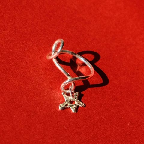 image_EEA25B93-24E1-4BFF-84A5-AAC6F064A762_1767168040