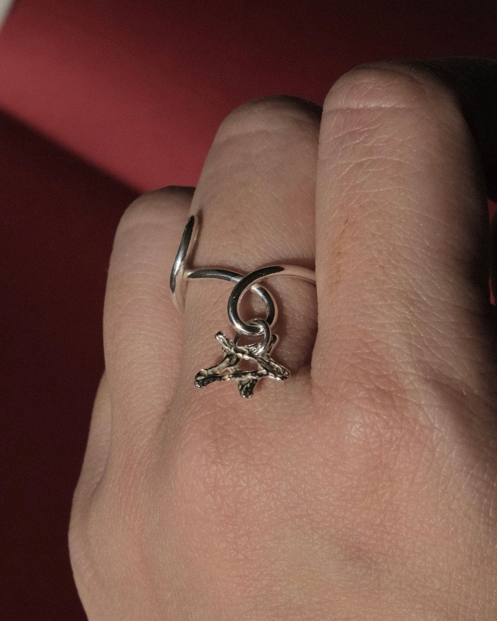 image_33330DFF-FE92-4E9E-88E4-AC76178842CB_1767168040