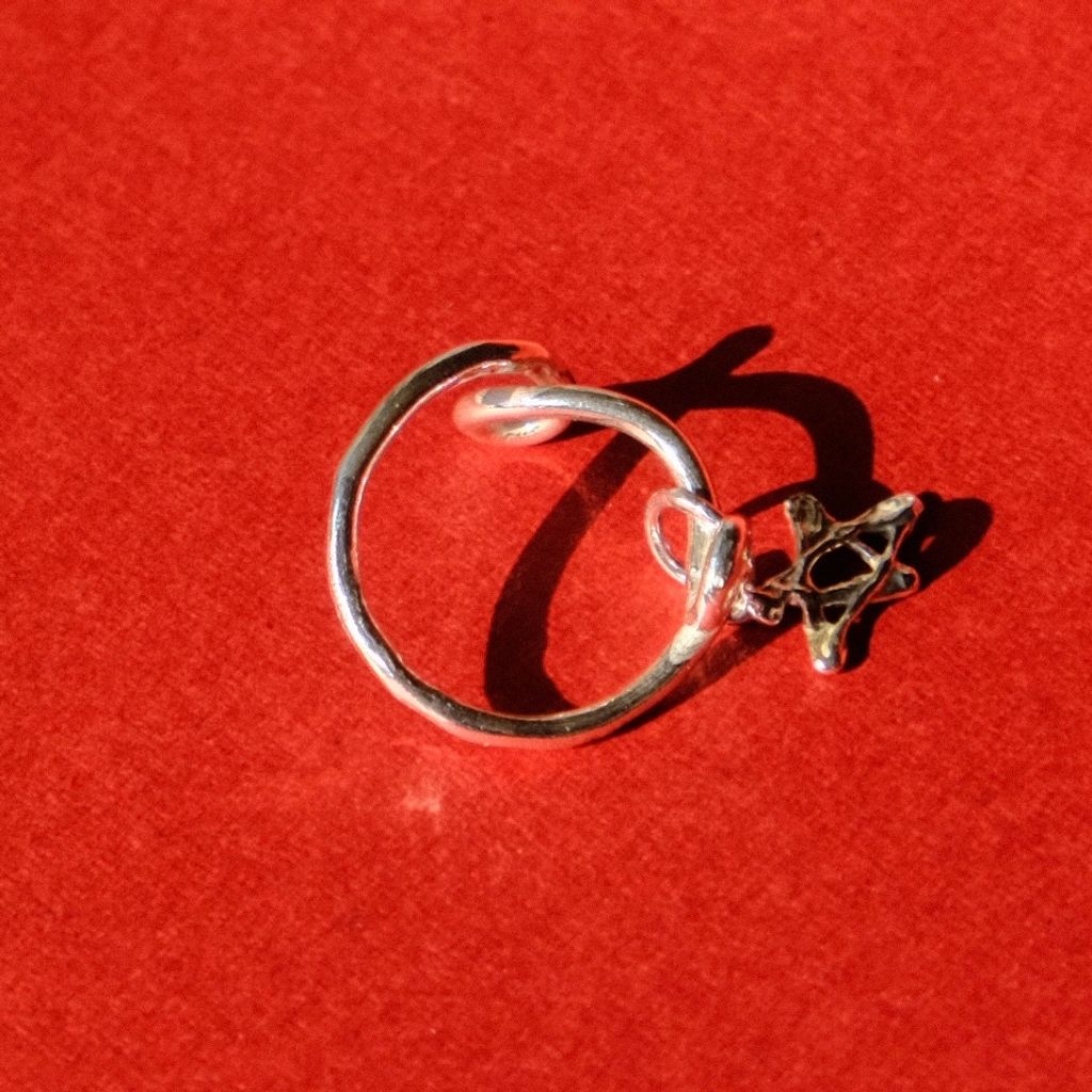 image_77163150-FF56-48D8-A66C-85EE42F21955_1767168457