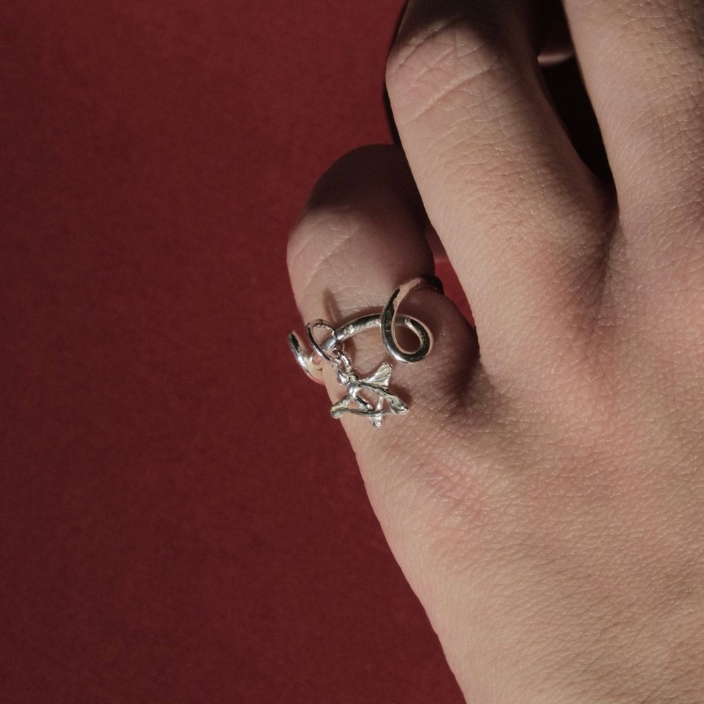 image_E37400D0-84CD-48FC-BDC7-4C0DBE17BC07_1767168457