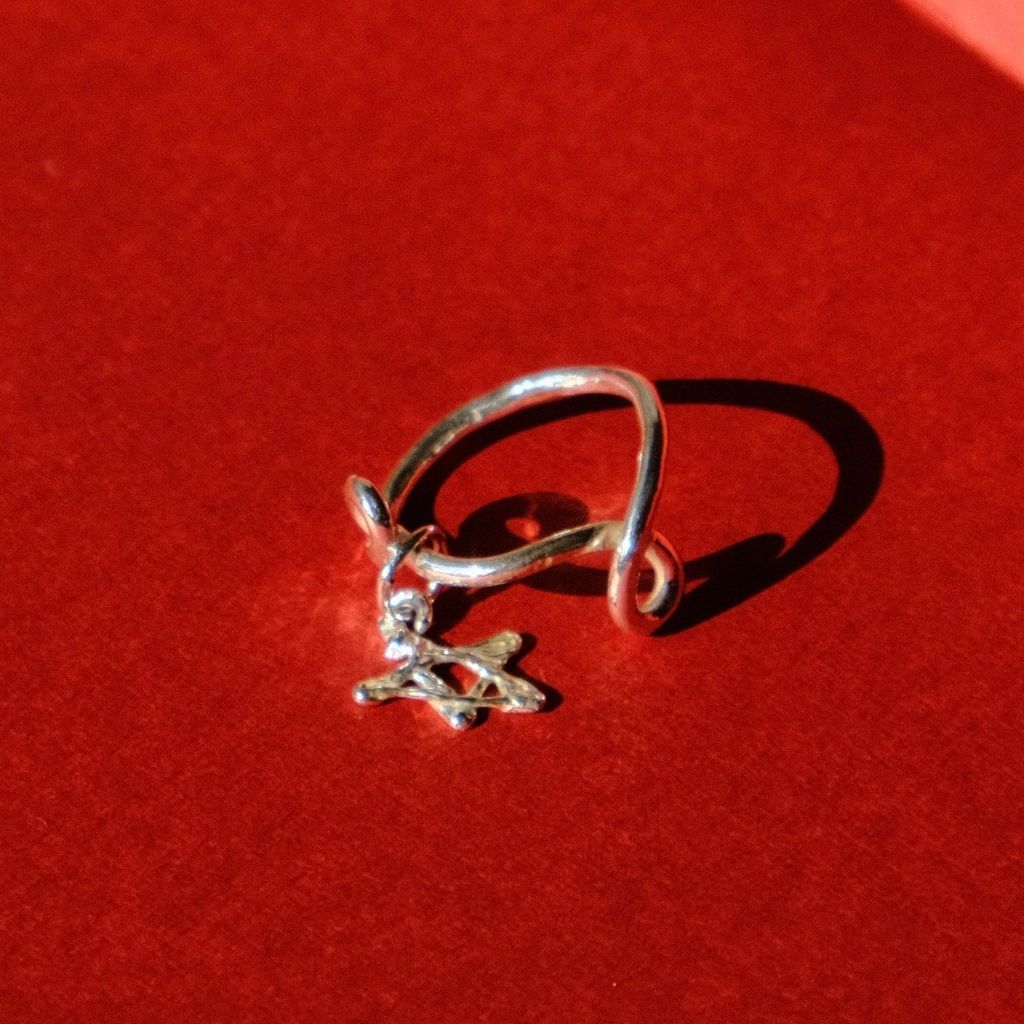 image_162377D4-BF70-4AB4-8727-58F13BD69DCC_1767168457