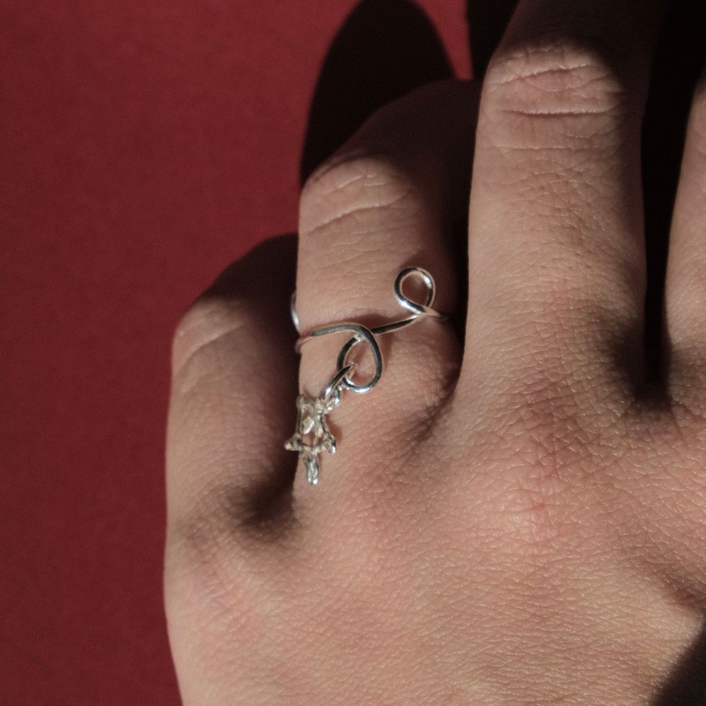 image_2A7563EA-8A55-4FCE-80AB-476C3E59219E_1767168745