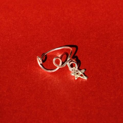 image_107F81DF-53F8-41AC-93E9-ABDD5ABE005C_1767168980