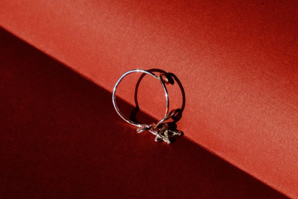 image_783940C5-71BB-4065-98B9-9CC2F59F3584_1767168980