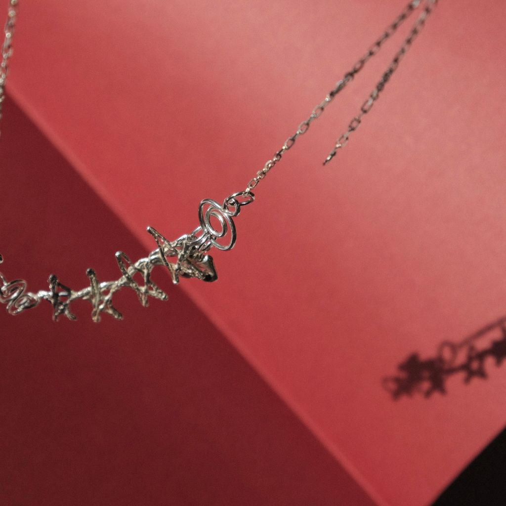 image_51EE5509-04CB-4163-B395-7851D606D52B_1767169483