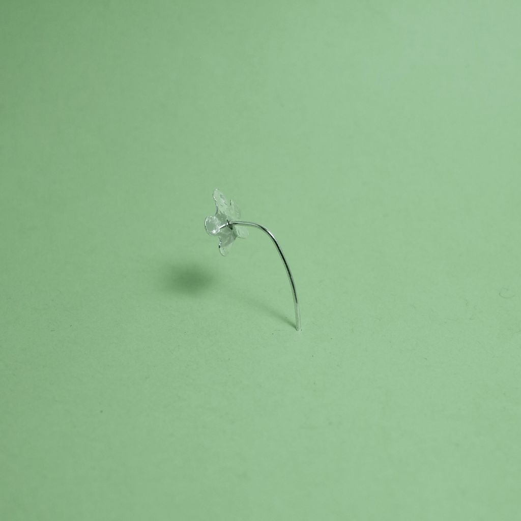 image_1FF220EB-4C46-4E10-B179-A095DFE15E40_1768733783