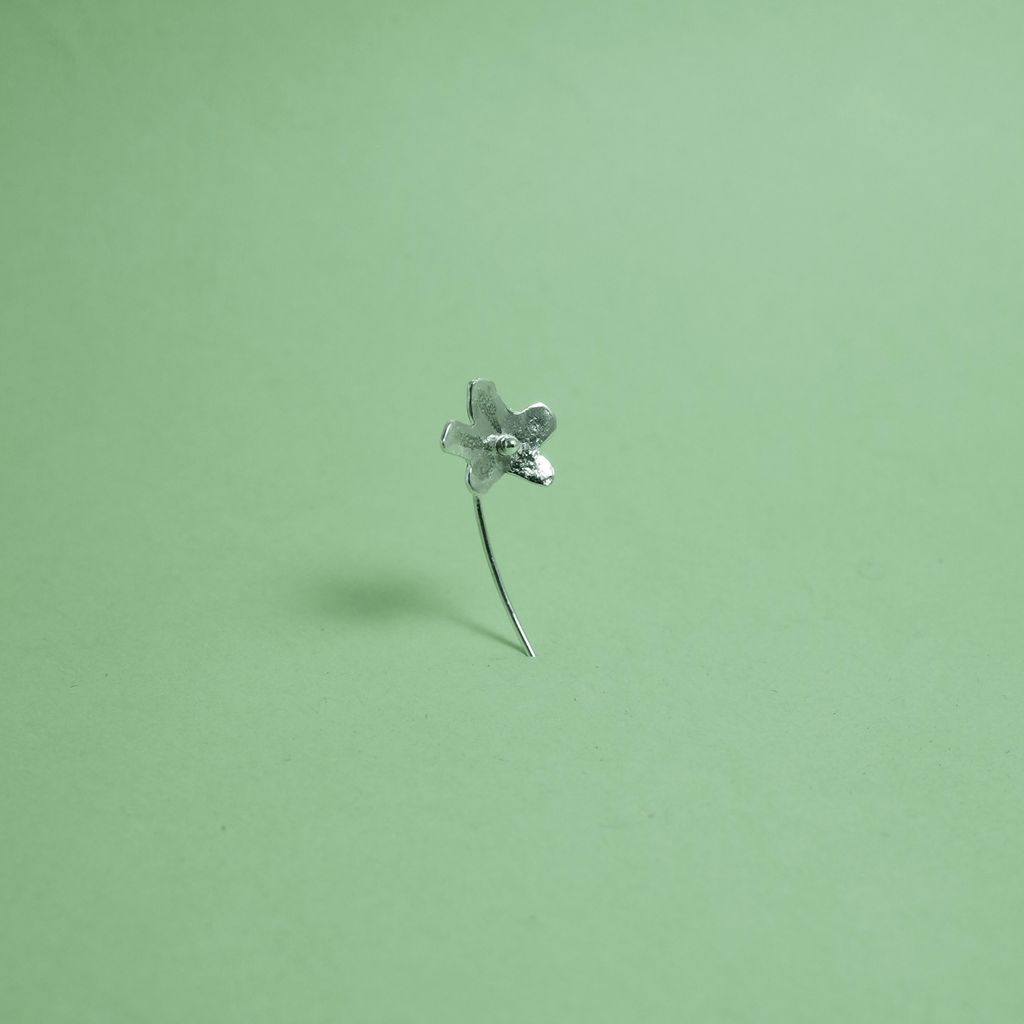 image_D382FF13-9911-4321-967F-58793B956EAC_1768733783