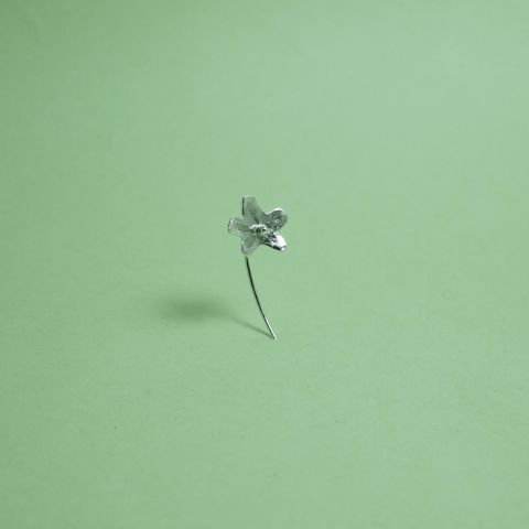 image_D382FF13-9911-4321-967F-58793B956EAC_1768733783