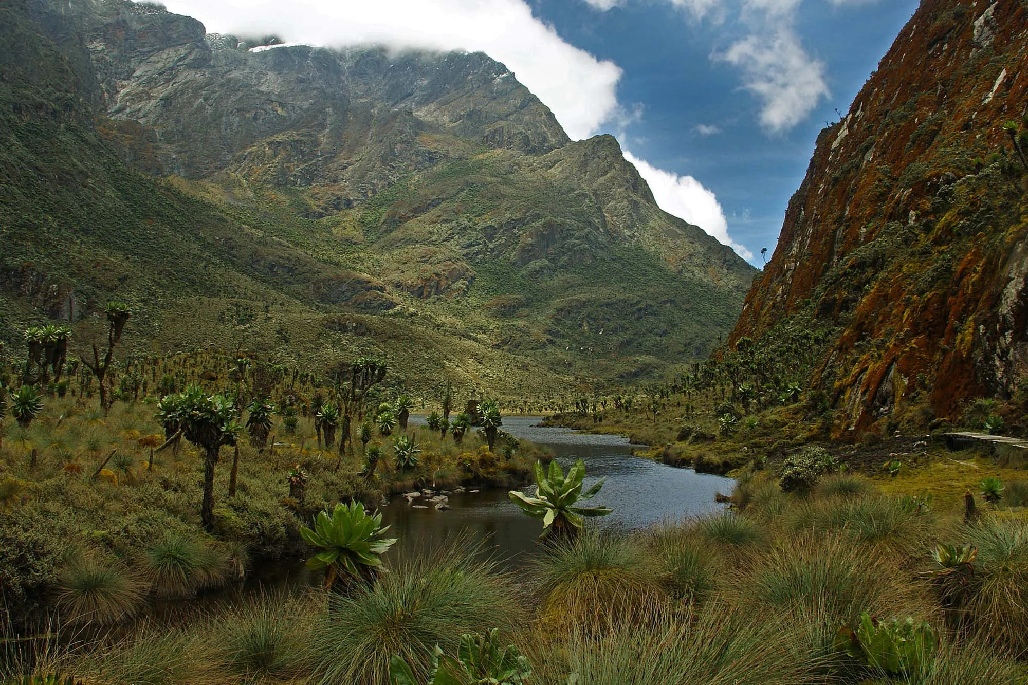 Rwenzori-mountains-012305