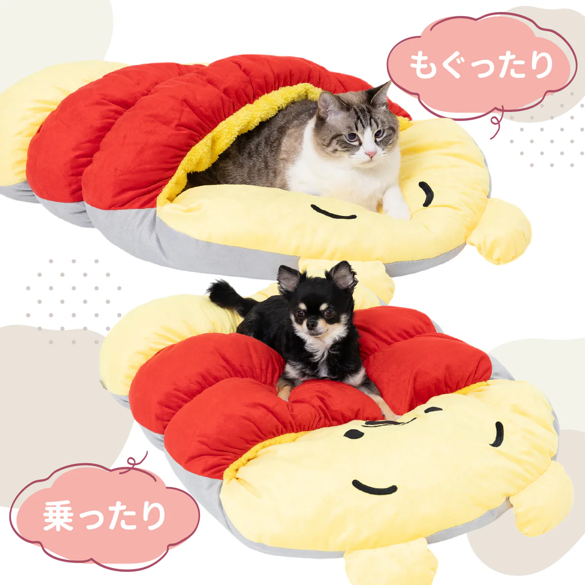 DS242-052-002_21_1200x