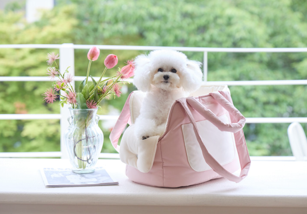 Screenshot 2025-09-17 at 4.19.32 PM