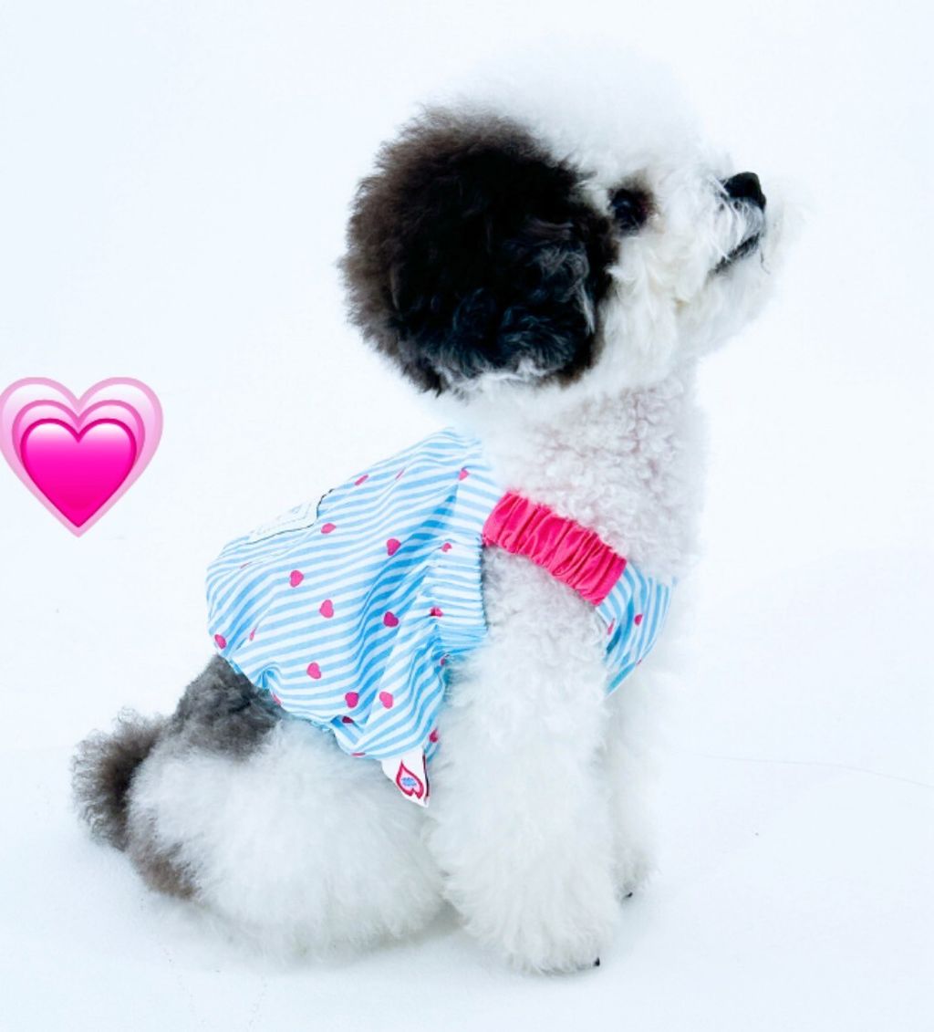 LINE_ALBUM_TOOF_250918_1