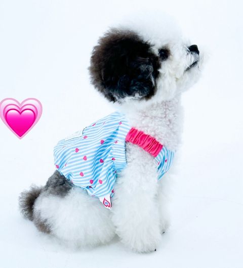 LINE_ALBUM_TOOF_250918_1