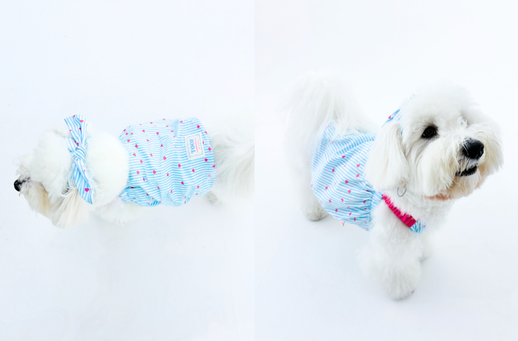 Screenshot 2025-09-18 at 1.03.51 PM