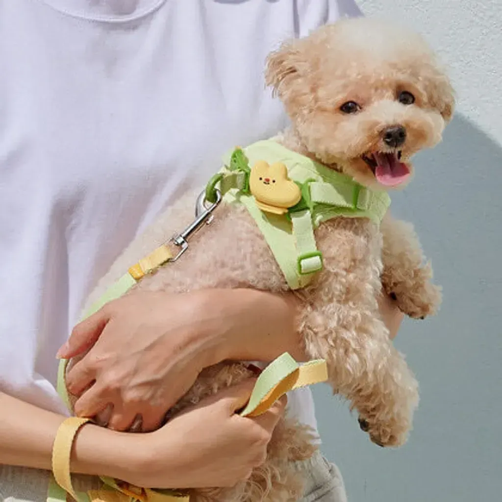 image_CA5BCFDF-6908-4967-818D-2BC9E61011F8_1758251528