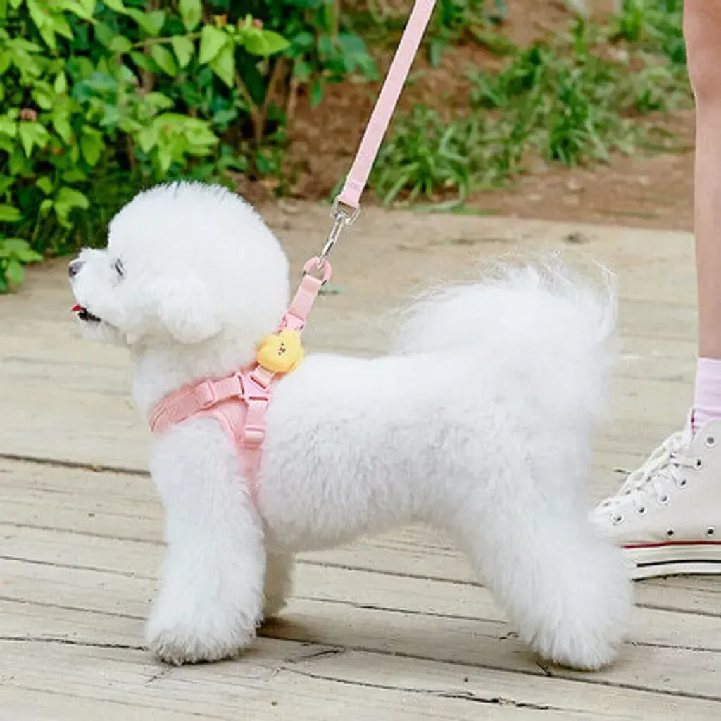 image_3331EA2F-E59C-495A-9EB9-2B7E1DB21655_1758251528