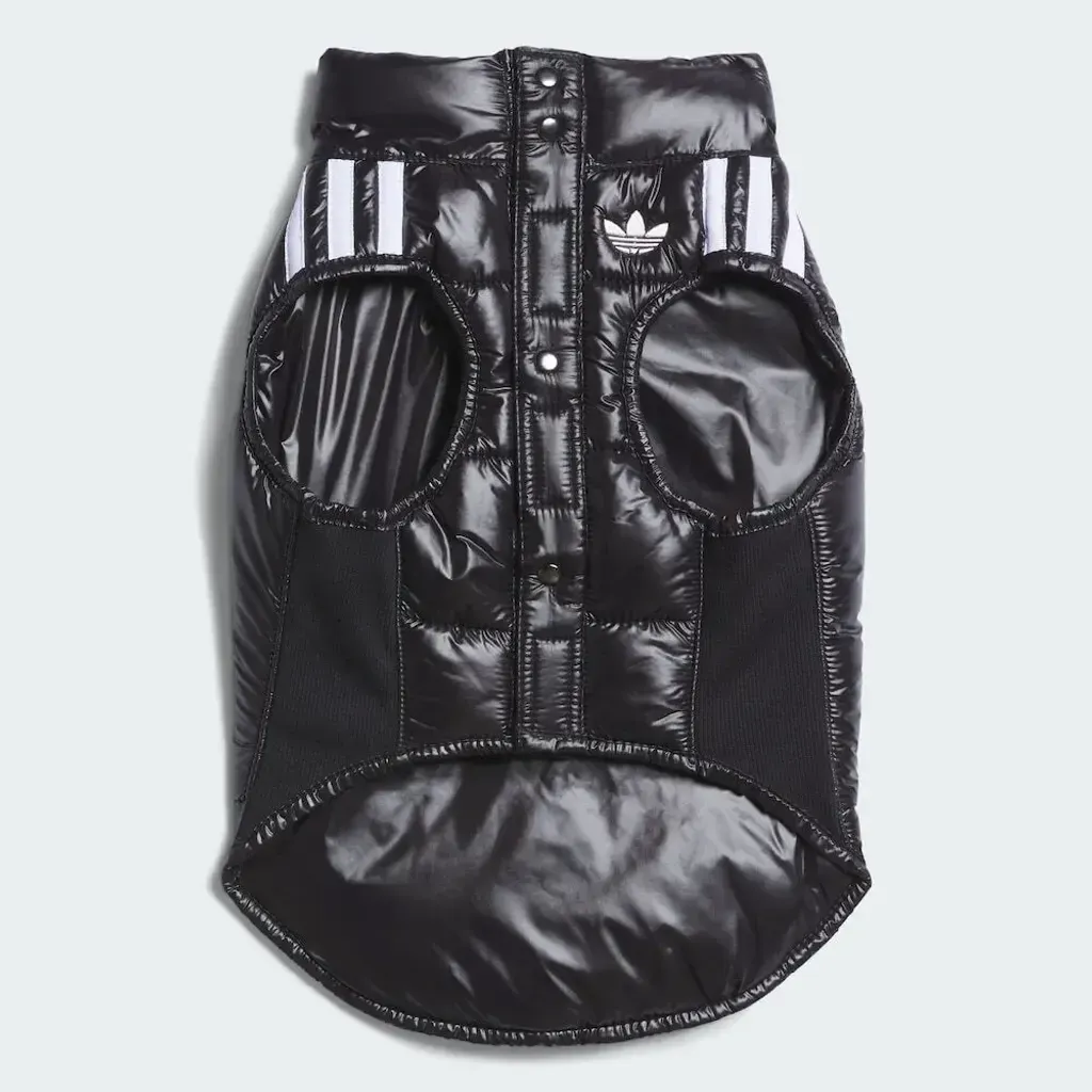 image_4EAF3E48-8172-4A29-A4A1-AEF65948475A_1759468188