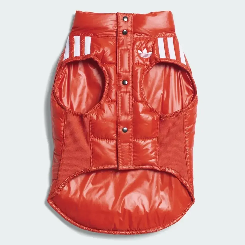 image_A5B5B576-5C59-4773-AFA4-EF040C92CC54_1759468188