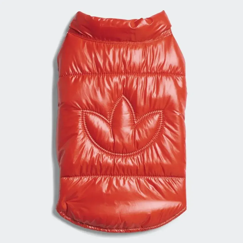 image_DD939BF6-77B3-46F9-A5FB-06E8C72B7996_1759468188