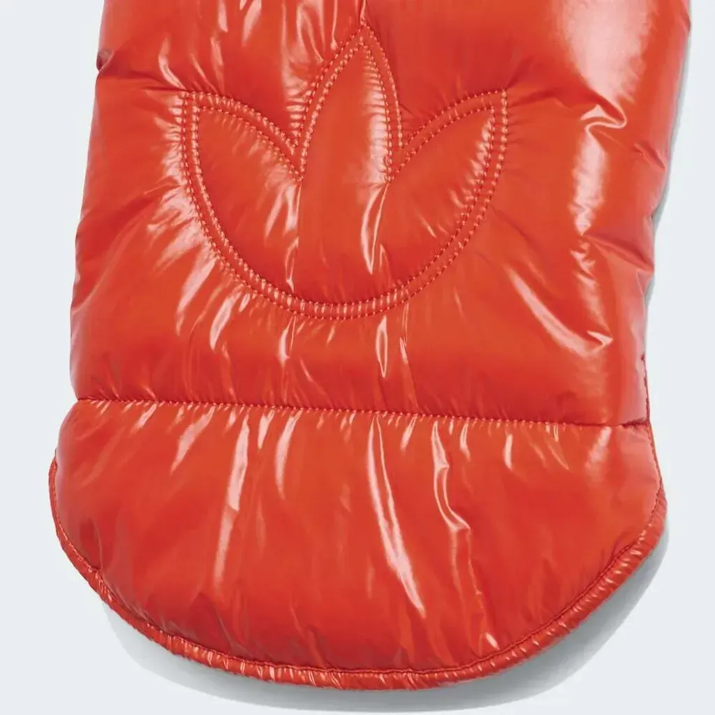 image_7FE15AF8-EAC9-4D38-A374-4279CBB1A021_1759468188