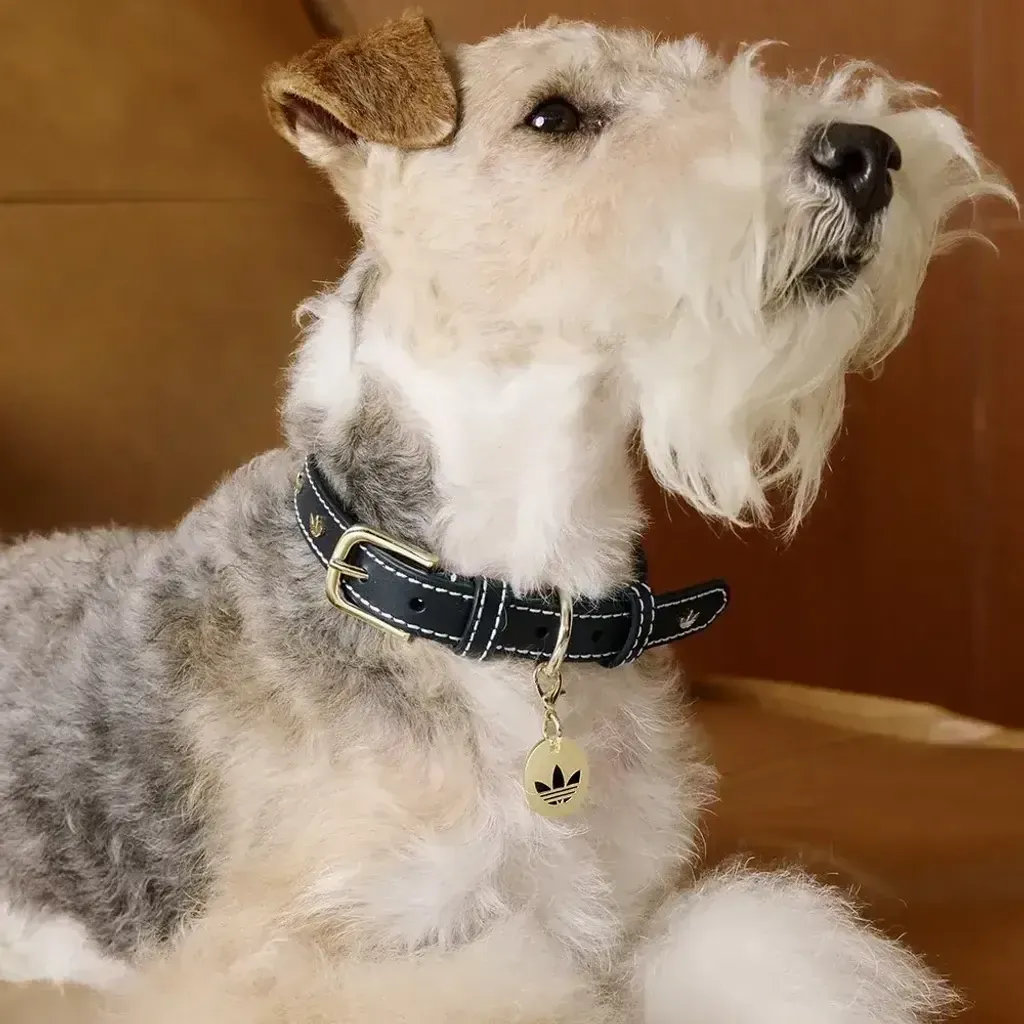 image_74C0A8CF-46DD-4601-8B86-97621BC69EE2_1759486842