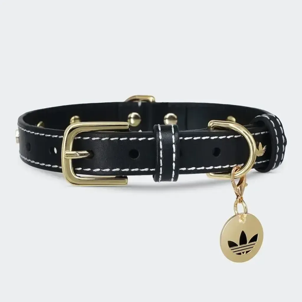 image_84465A42-C5EF-4A3F-91B1-17B1997210EB_1759486842