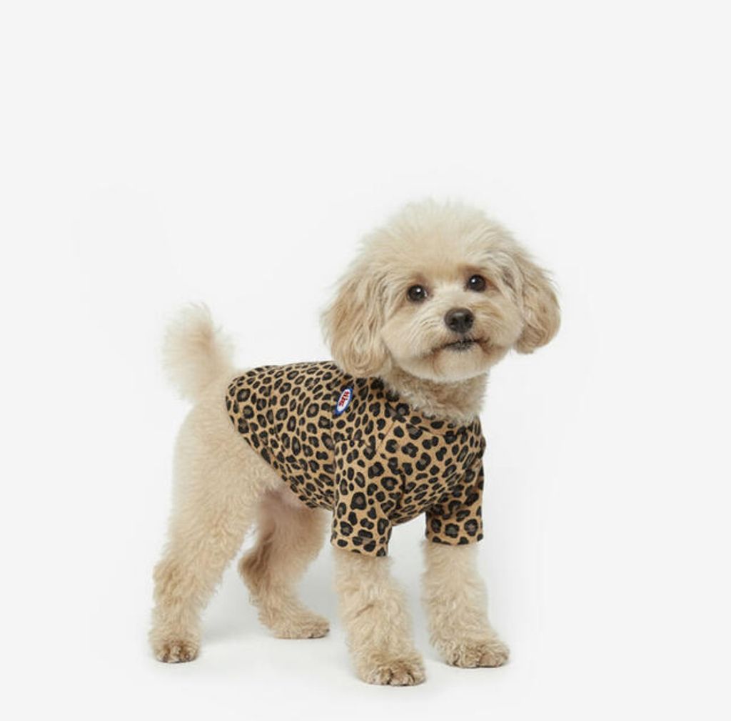 image_F135D022-9943-4072-85AC-B02D157838E9_1760954168