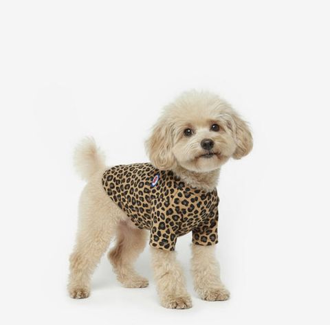 image_F135D022-9943-4072-85AC-B02D157838E9_1760954168