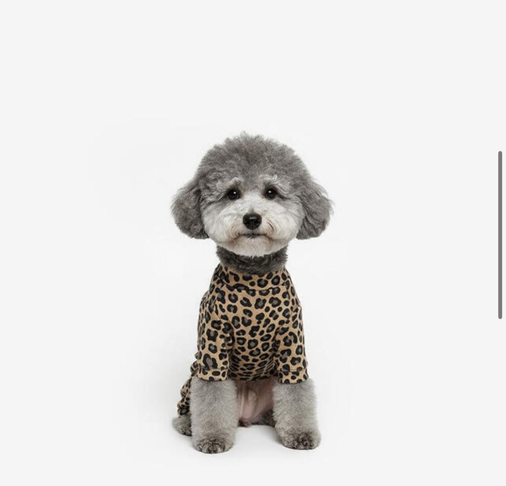 image_27B09E40-352E-4225-8AC2-55D6E0EDCC6C_1760954408