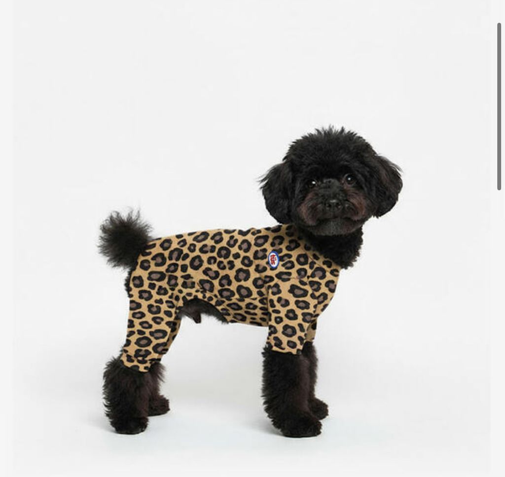 image_39D7CB69-76E2-4413-9104-AD7A10FEA0F5_1760954408