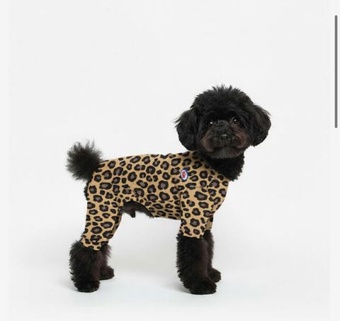 image_39D7CB69-76E2-4413-9104-AD7A10FEA0F5_1760954408