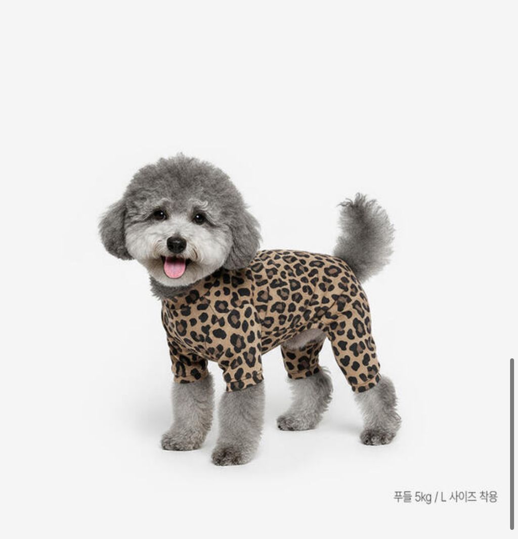 image_58649A64-3F98-4538-B69C-B6E5A23D7E8A_1760954408