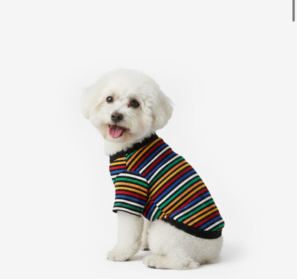 image_4E8639FC-A961-41DD-86D6-E4F377D9CC04_1760960142