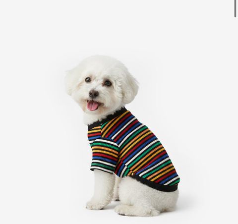 image_4E8639FC-A961-41DD-86D6-E4F377D9CC04_1760960142