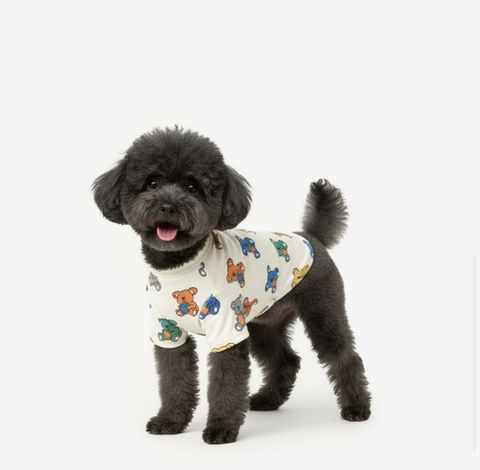 image_2C485B4F-A64D-4E7E-A3A1-D4EEF9C6BE4F_1760960439