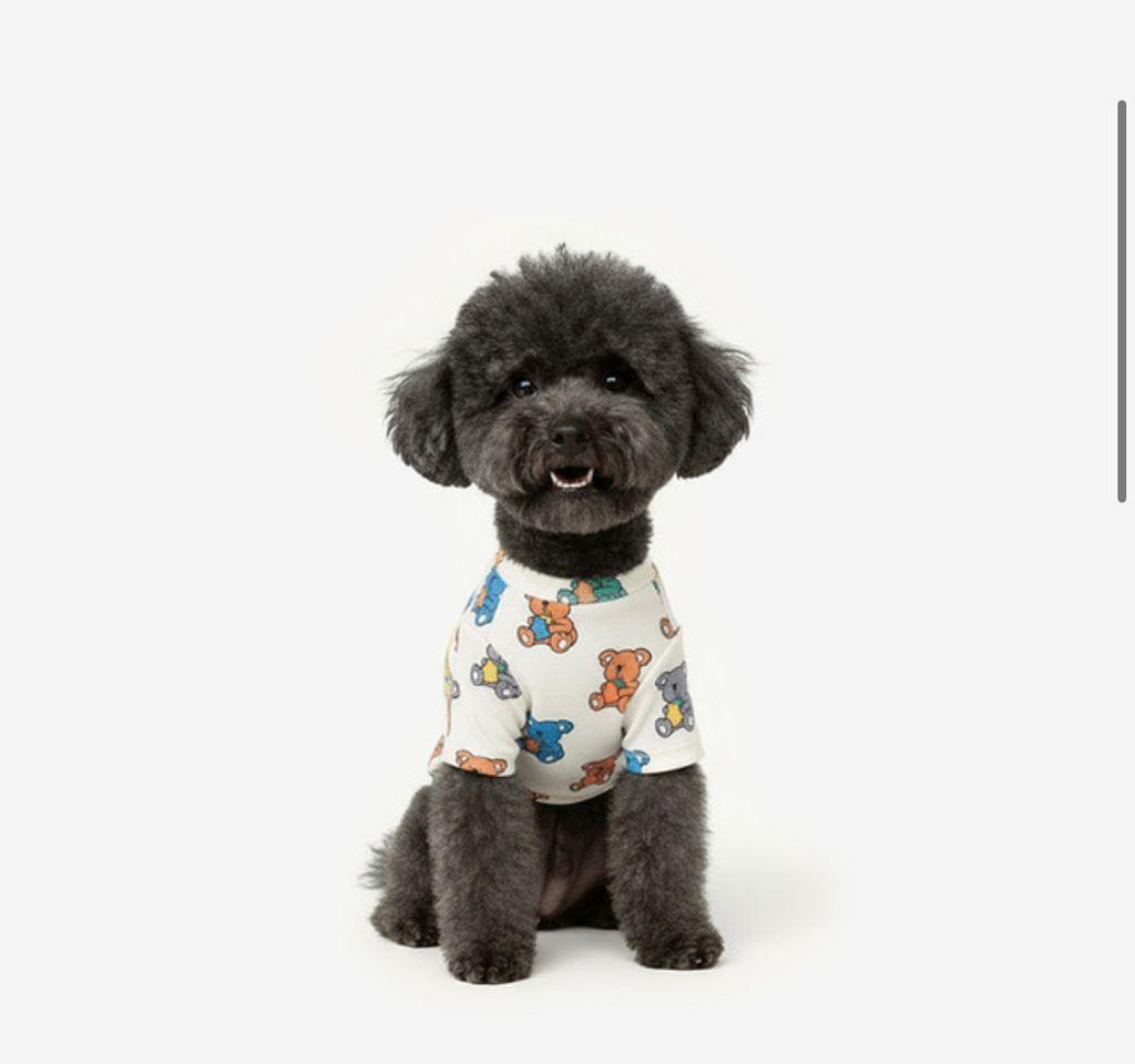 image_877389ED-4B59-4801-8FD4-234198D36A76_1760960439