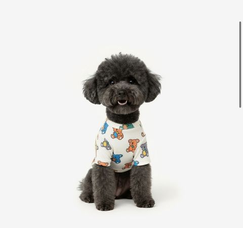 image_877389ED-4B59-4801-8FD4-234198D36A76_1760960439