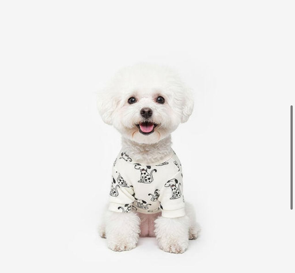 image_6A3CD191-EA8A-42EE-BAA0-6928BB3B0CD9_1760960612