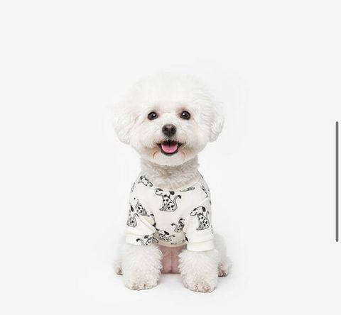 image_6A3CD191-EA8A-42EE-BAA0-6928BB3B0CD9_1760960612