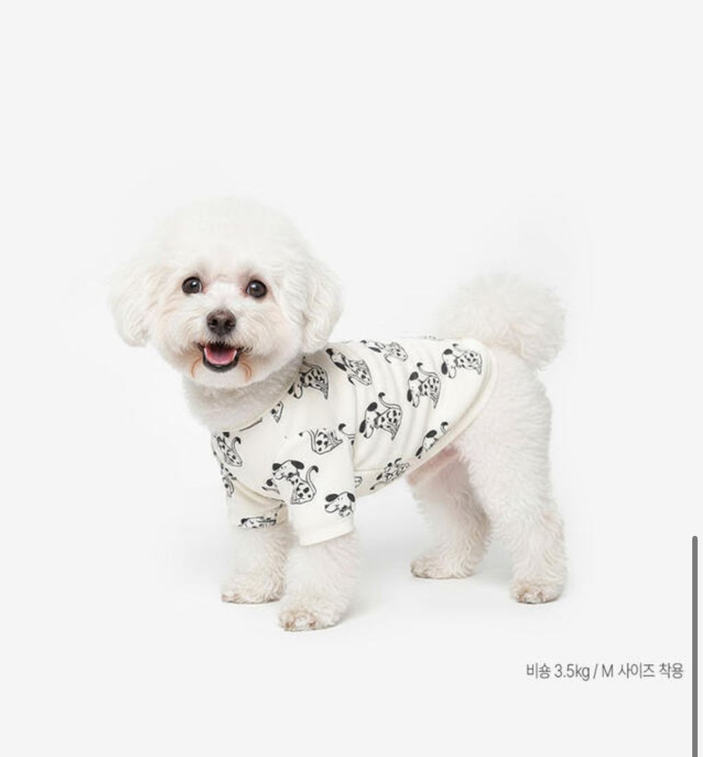 image_3EBC9B5E-065D-4315-A90A-922F9CCB46B6_1760960612